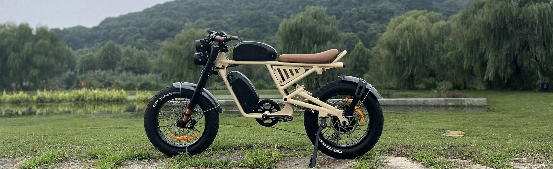 Moped Style E Bike