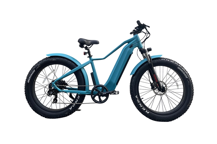 Fat Tire Electric Mountain Bike-3.webp