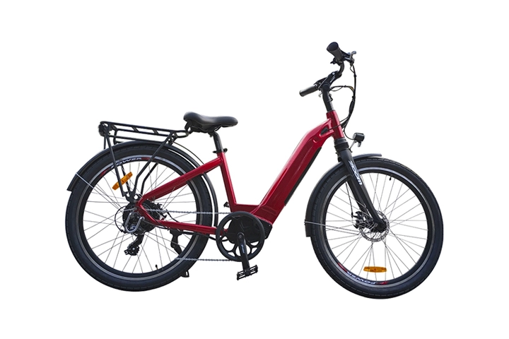 Electric Cycle 26 Inch with Hidden Battery