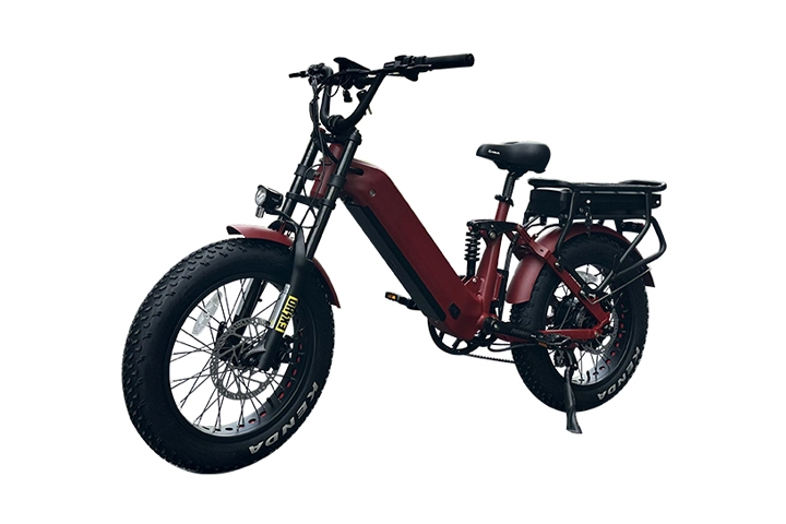 Most Powerful Electric Fat Bike-3.webp