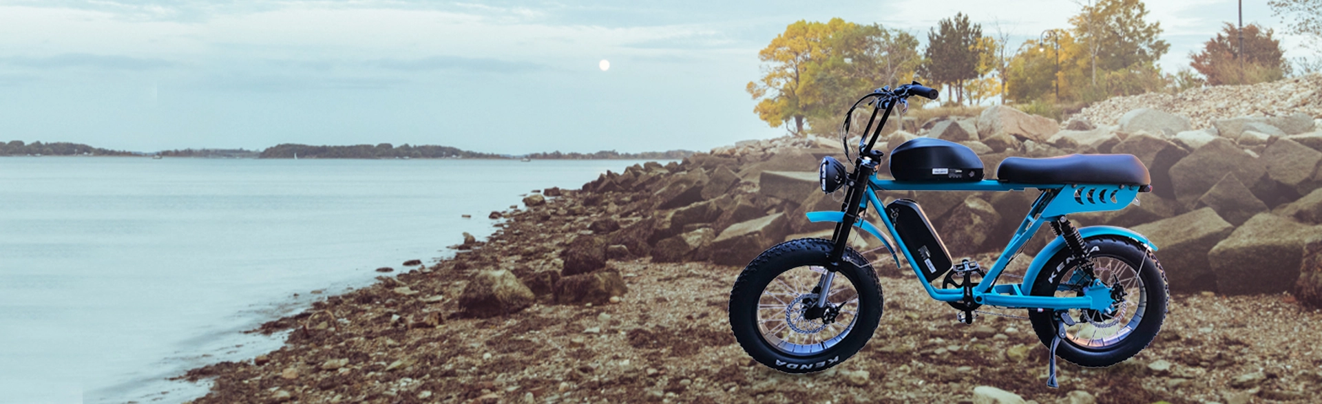 Fat Tire Ebike USA: Dual Battery Electric Bike