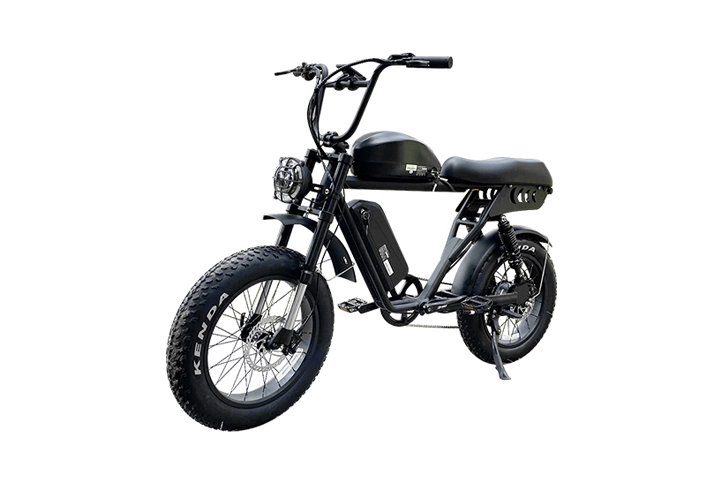 20 Inch Fat Tire Dual Battery Electric Bike
