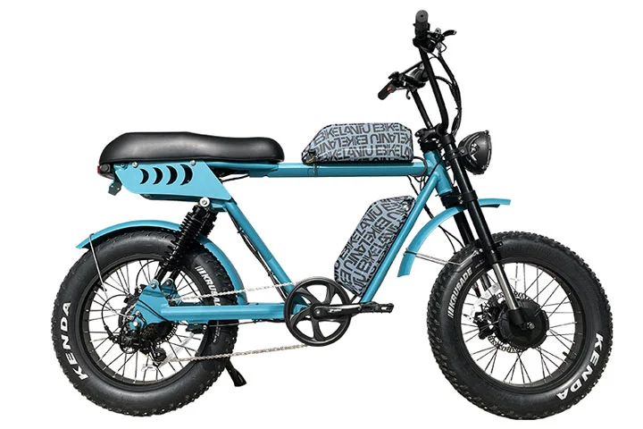 Dual Motor Electric Bike: 52V, Dual Batteries, High Performance