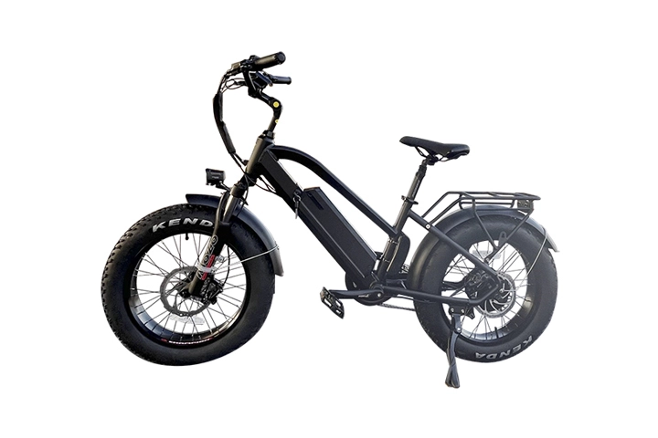 20 Inch Fat Tire Electric Bike-3.webp