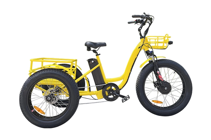 Electric Cargo Trike-1.webp