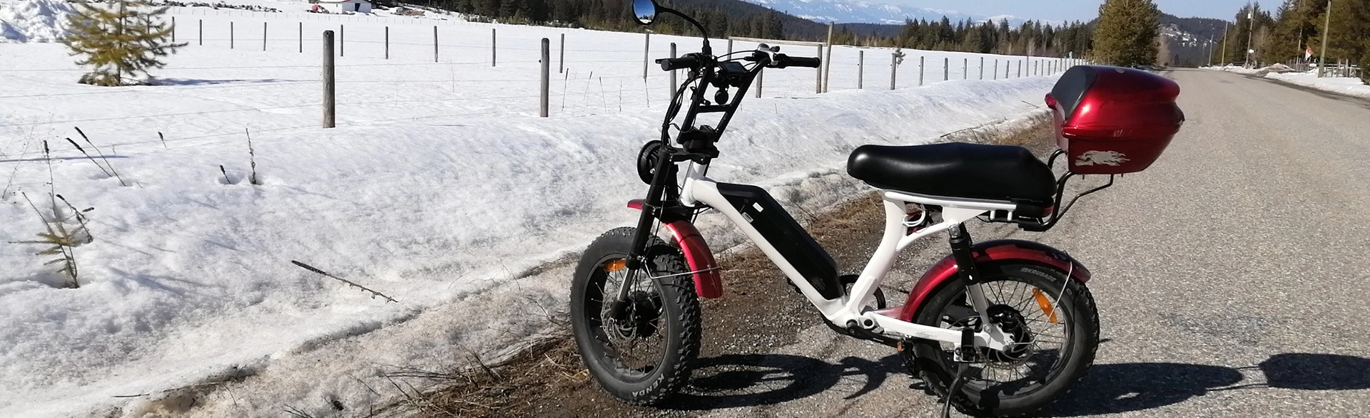 Step Through Fat Tire Dual Motor Electric Bike