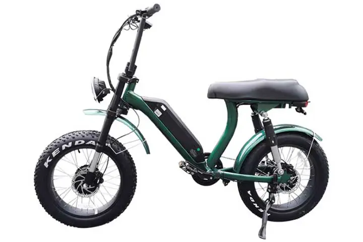Dual Motor Electric Bike with Fat Tires for All Terrains