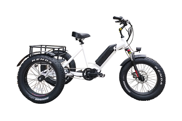 3 Wheel Electric Cargo Bike-1.webp