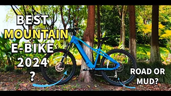 China EMTB electric mountain bike factory | Best Budget Electric Mountain Bikes 2024