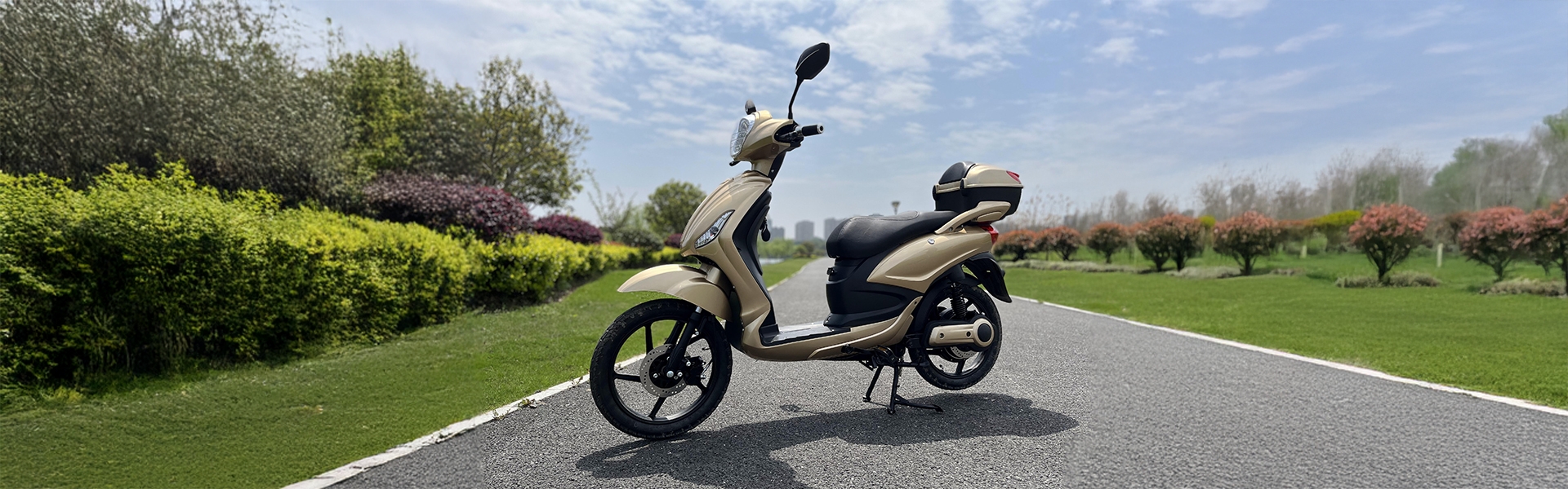 Electric Moped with Pedals for Adults