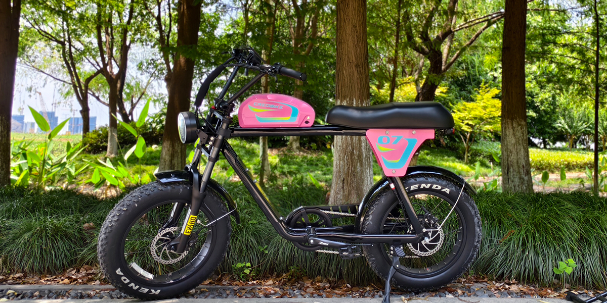 Fat Tire Ebikes2.jpg