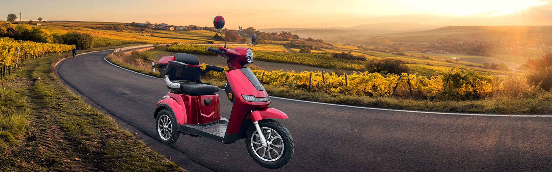 Electric Mobility Scooter