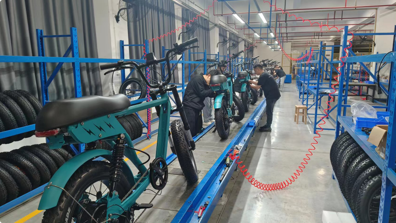 Electric Bike Custom