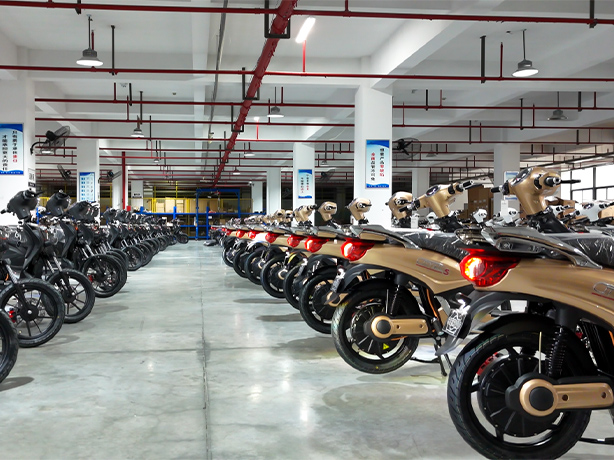 Gallery-Custom Electric Bike (1).jpg