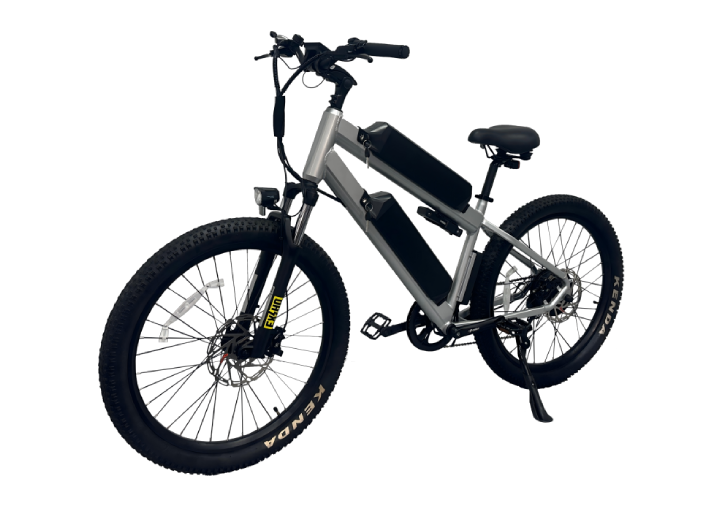 Dual Battery Electric Mountain Ebike.png