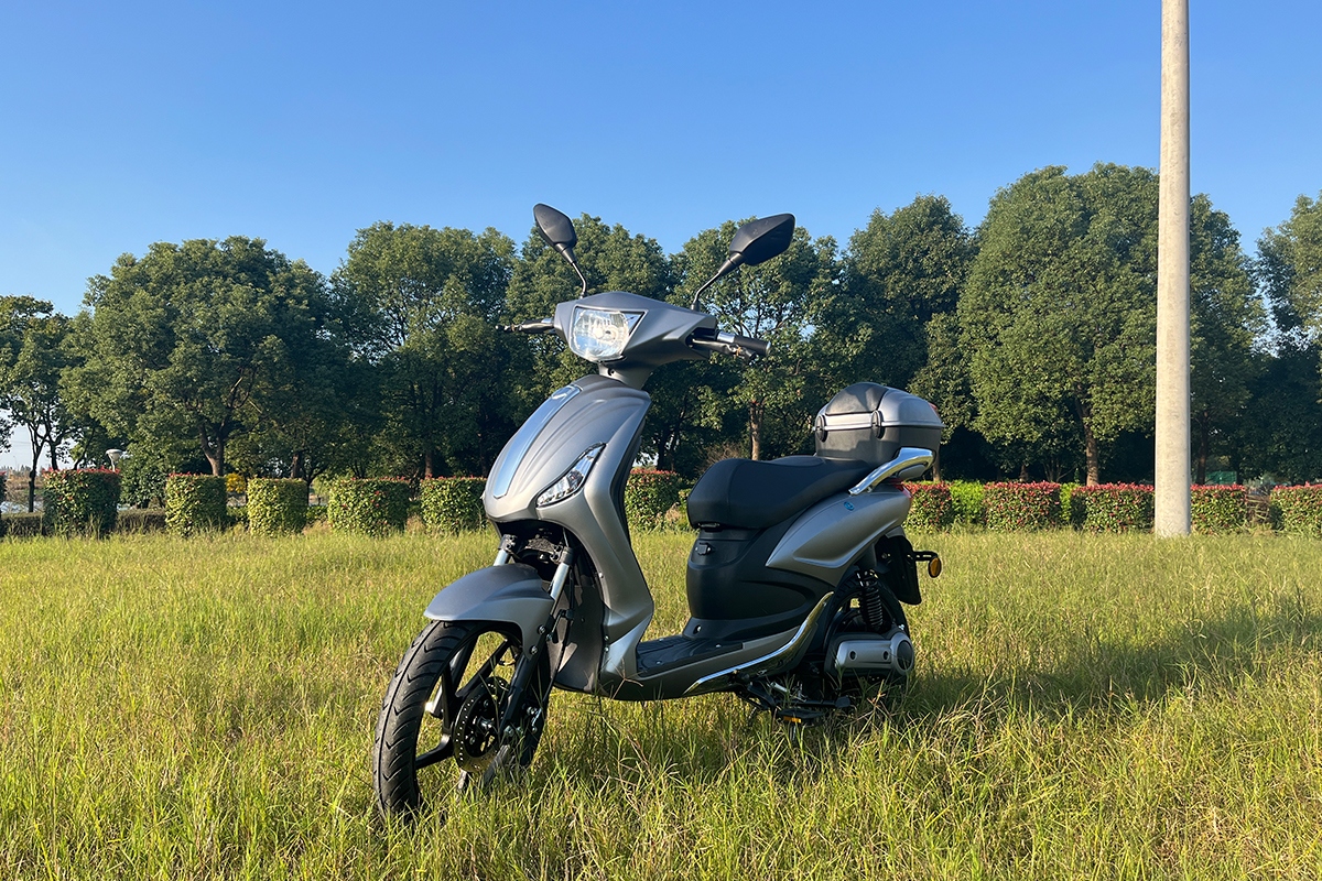 electric scooter-2.png