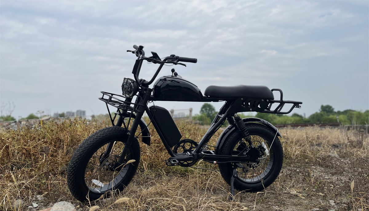 Why-Americans-prefer-powerful-e-bikes-01.jpg Why-Americans-prefer-powerful-e-bikes-01.jpg