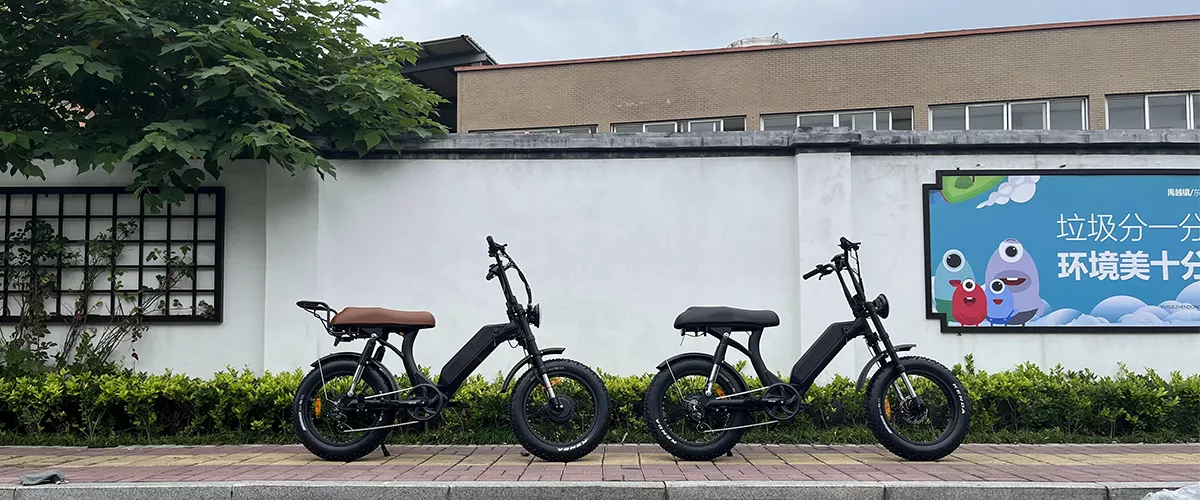 Mtb E Bike Mtb E Bike