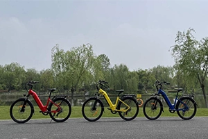 Should I Buy an Electric Bicycle