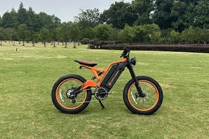 Why are electric dirt bikes so popular?