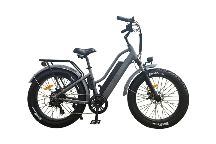 20 inch electric fat bike