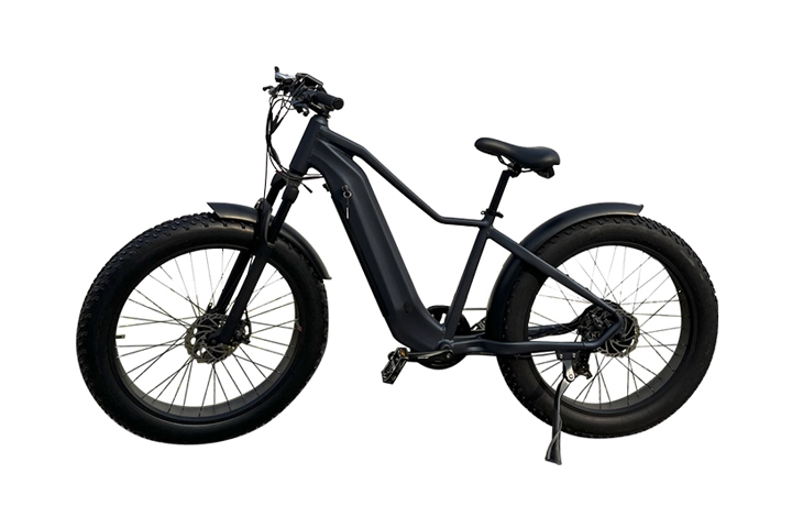 electric fat mountain bike