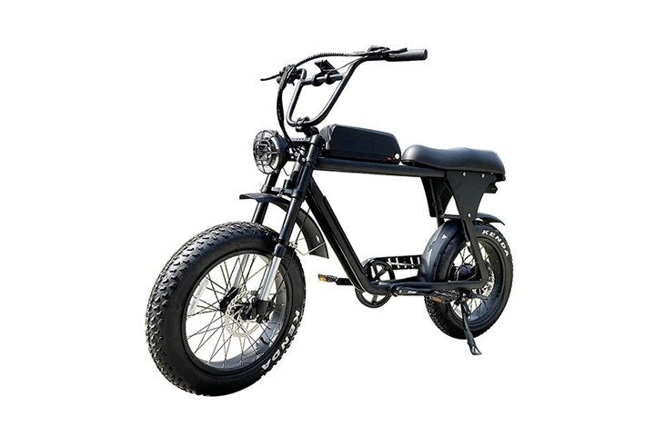 Elektro fahrrad im Moped-Stil