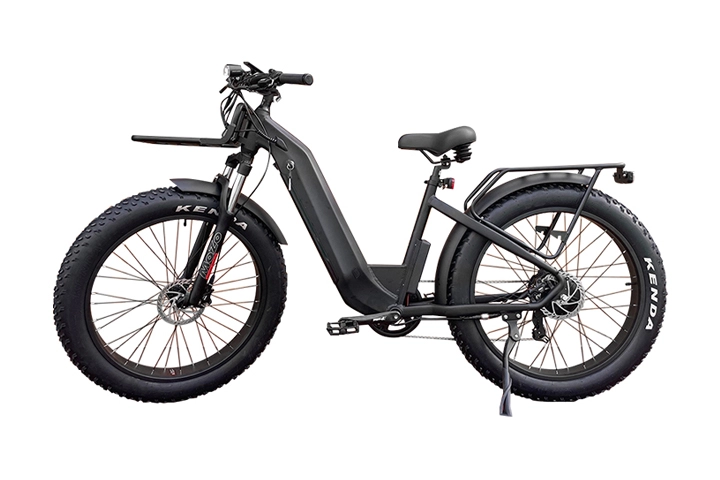 750w elektrisches Mountainbike