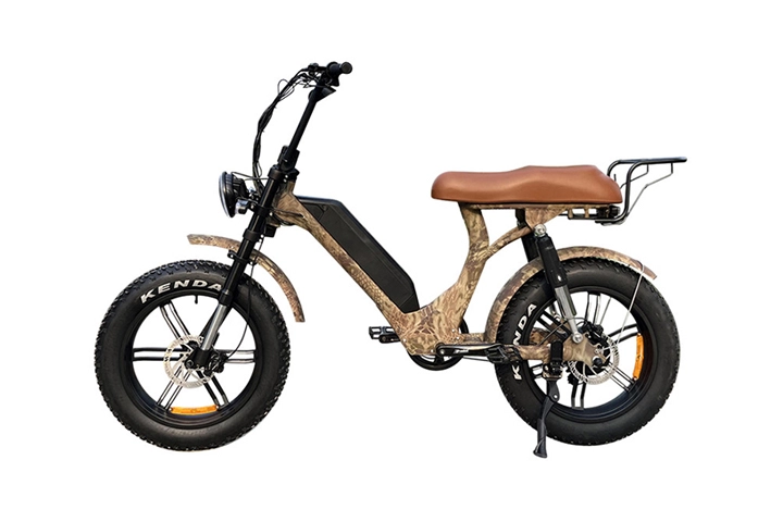 Schritt durch Fat Tire Elektro fahrrad