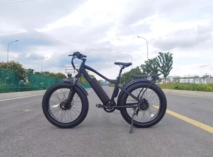 Die Vorteile des Fahrens eines Cruiser Ebike