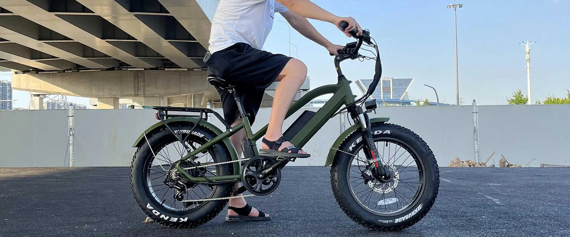 20 Zoll fettes Reifen-Elektro fahrrad