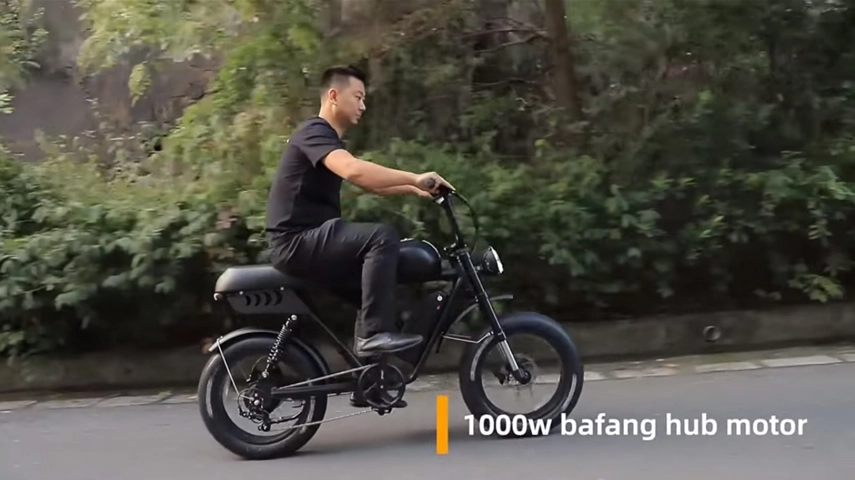 China Best Full Suspension Moped Style Fat Tire Elektro fahrrad Überprüfung