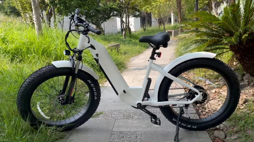 China Bester Schritt durch elektrisches fettes Fahrrad für Damen