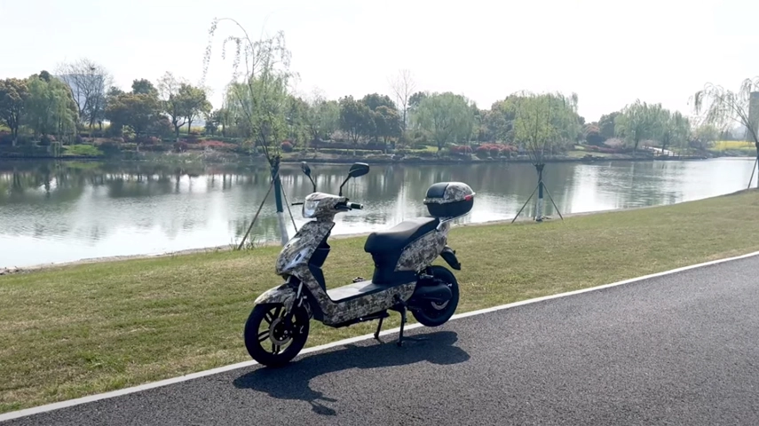 EWG COC Elektro-Moped-Überprüfung