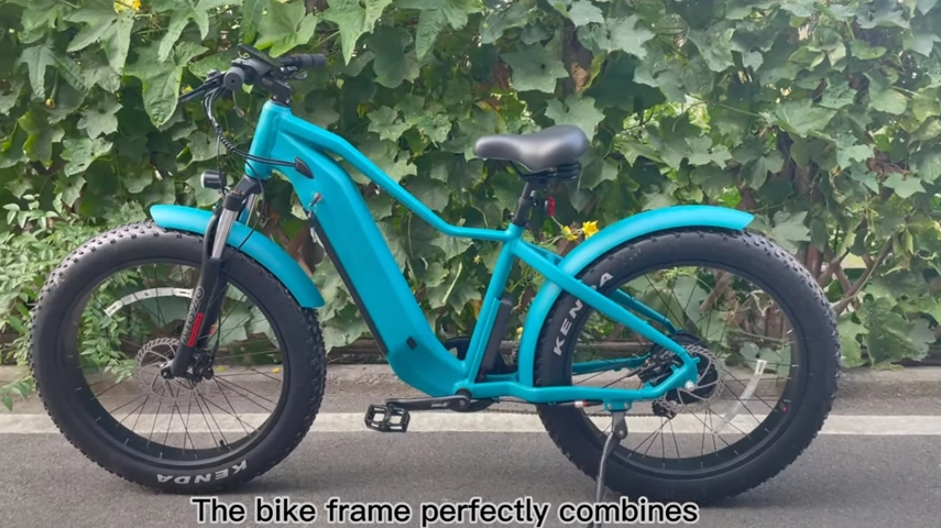 Elektro fahrrad mit großer Reichweite Fat Tire Cruiser