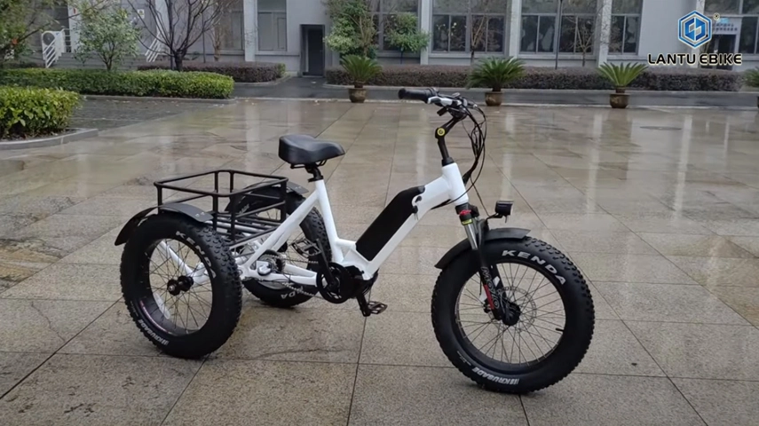 Mid Drive Electric Trike mit interner 3-Geschwindigkeit