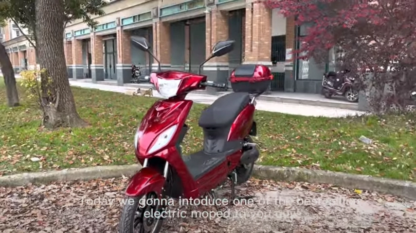 Meist verkaufte Elektro-Moped 500W 1000W Hersteller