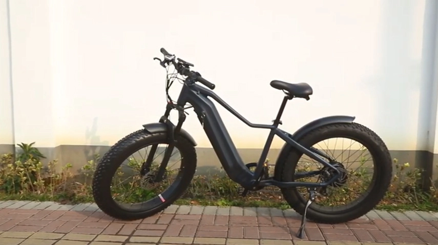 China Elektro fahrrad Unternehmen