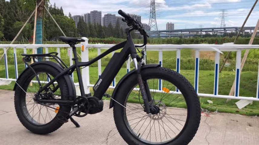 Big Power 1000W Fat Tire Ebike mit Zentral motor