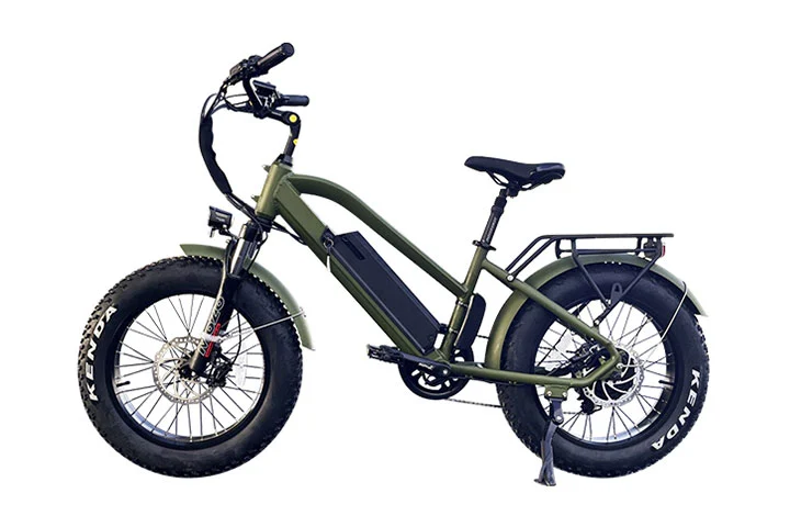 20 Zoll fettes Reifen-Elektro fahrrad