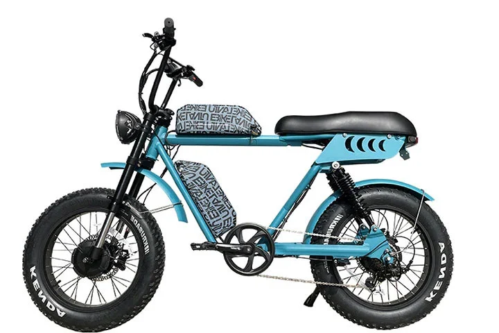 52V Dual-Motor Dual-Batterien Elektro fahrrad