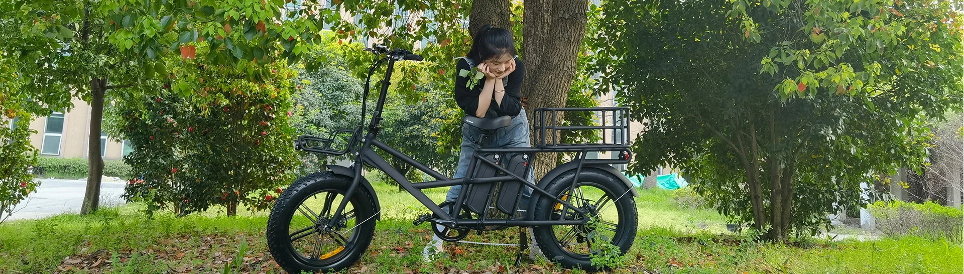 Elektrisches Lasten rad