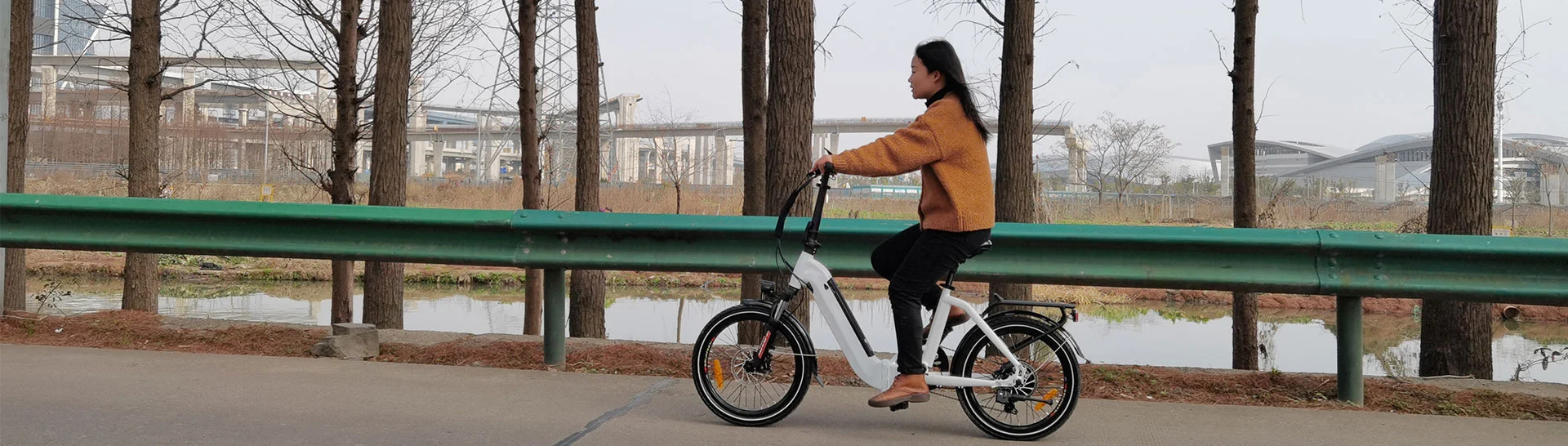 Elektrisches Stadt fahrrad