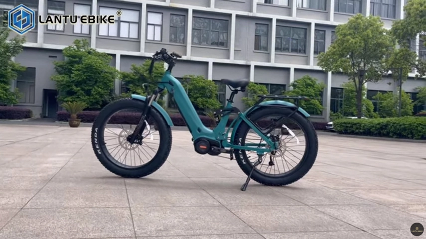 China OEM Elektro fahrrad mit 1000W Mid Drive Motor