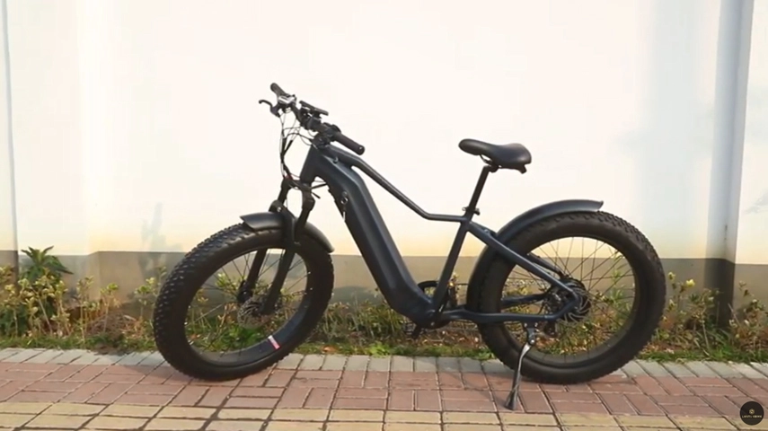 2022 Bestes 26 Zoll Step-Over elektrisches Fett fahrrad