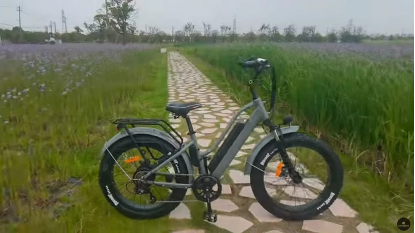 24 Zoll Schritt durch fette Ebikes