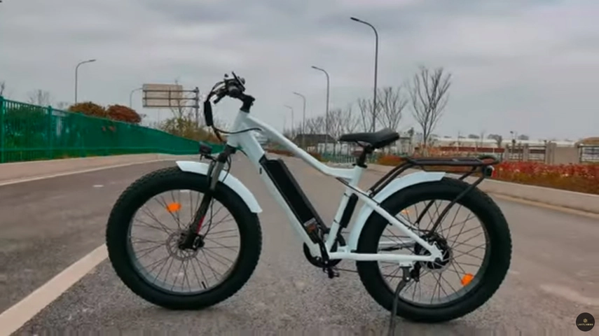 Maßge schneiderte Fat Tire Ebike