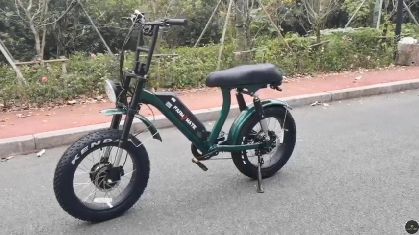 Dual Motor Fat Tire Ebike