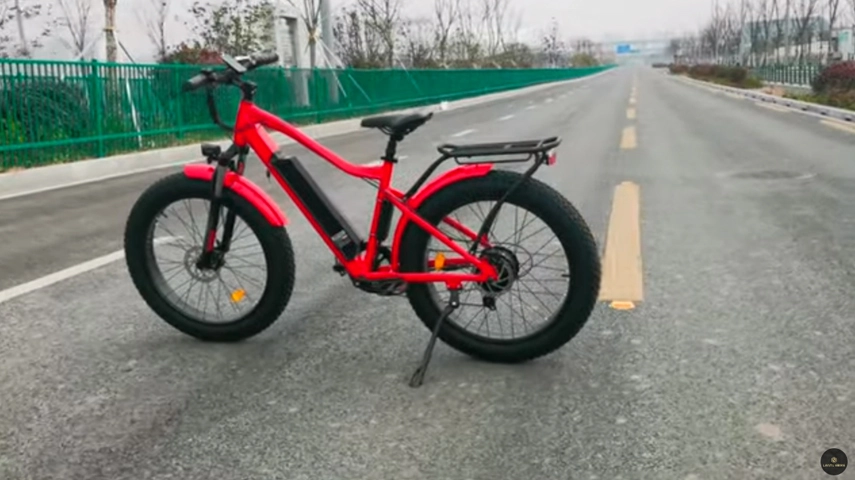 2021 Meist verkaufte Fat Tire Elektro fahrrad