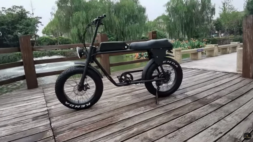 Das beste fette Reifen-Elektro fahrrad in China